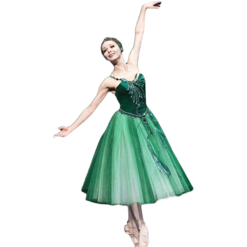 Children Ballet Skirt Swan Lak - Women'S Green Formal Wear recension och pris
